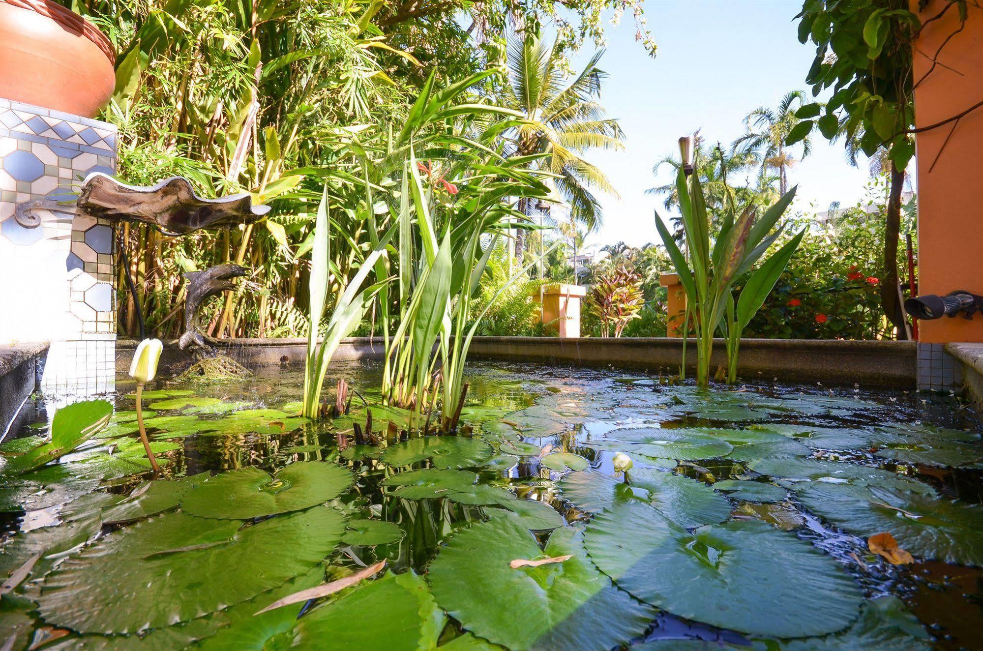 Апарт отель Martinique On Macrossan Порт Дуглас Экстерьер фото